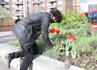 O nouă specie urbană: grădinarul de gherilă debutează timid în România