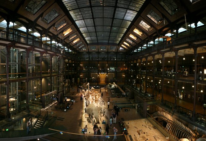 Parisul are unul dintre cele mai frumoase muzee de istorie naturala din Europa FOTO: Roï Boshi /Wikimedia Commons