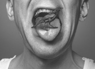 Cine a spus primul “fraier” în limba română FOTO: RyanMcGuire/Pixabay.com