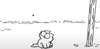 Pisica lui Simon. Motanul flămând în care prind viață toate mâțele din lume FOTO: Simon`s Cat/Youtube