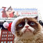Stăpâna lui Grumpy Cat a devenit multimilionară în numai doi ani