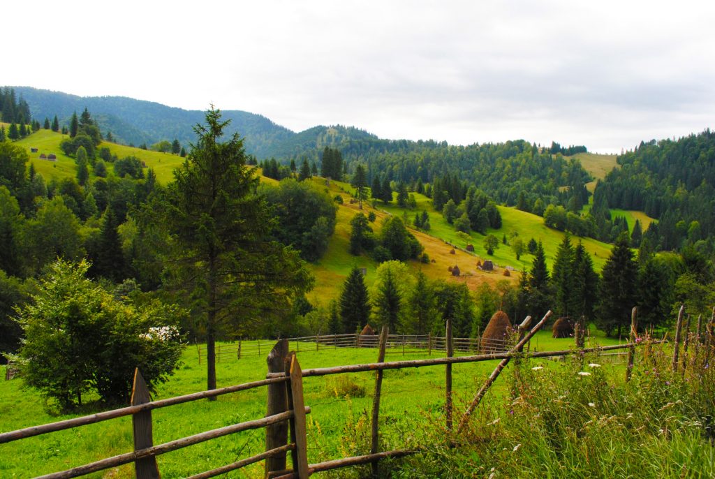 FOTO: Ionuț Fantaziu/GreatNews