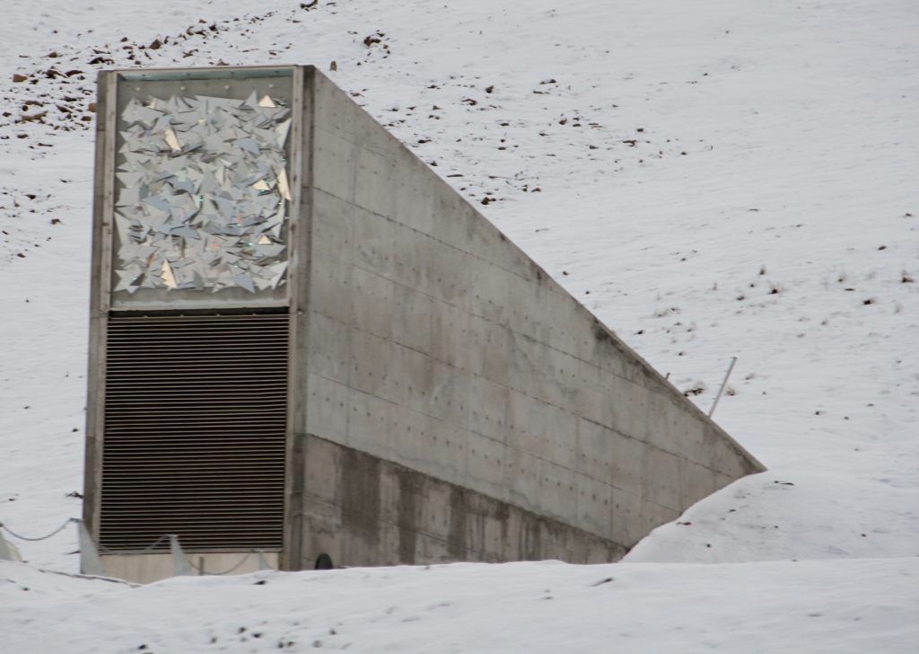Așa arată intrarea în banca de semințe din arhipelagul Svalbard (Wikimedia Commons)