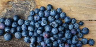 Idei de afaceri. Cât profit aduce o plantație de coacăze FOTO: congerdesign/Pixabay.com