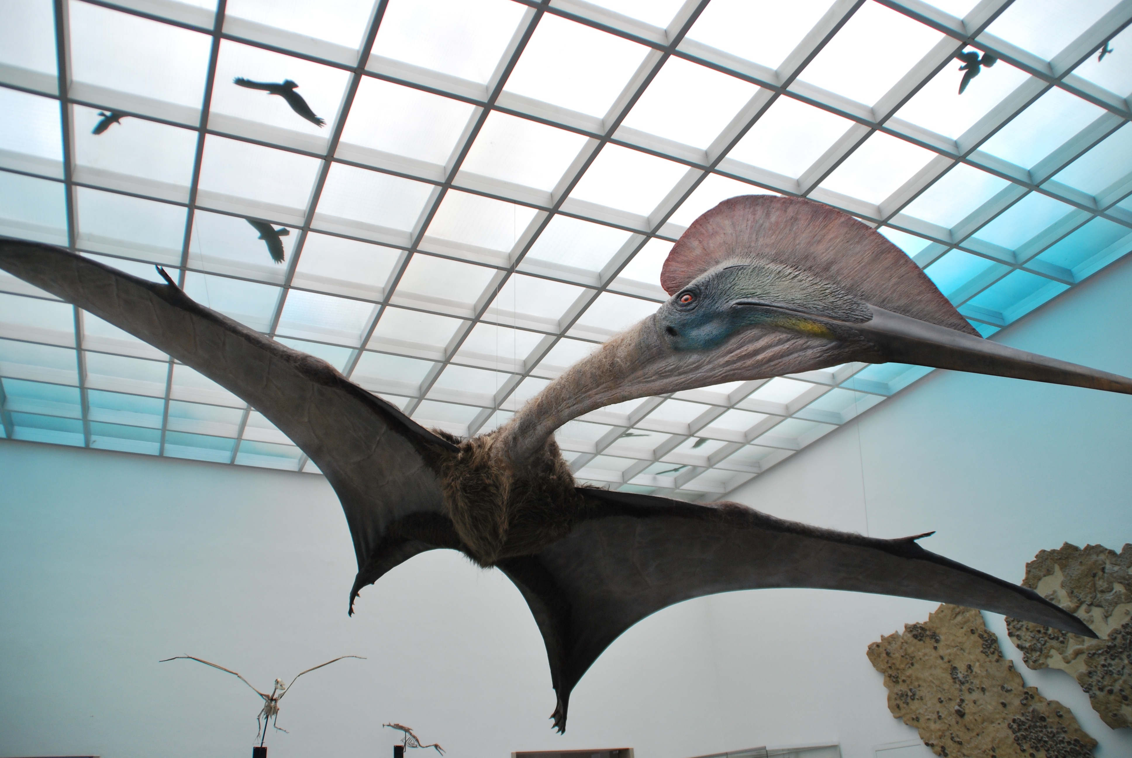 Hatzegopteryx cel mai mare dinozaur zburător din lume
