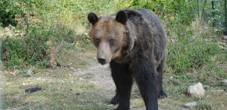 FOTO: Ionuț Fantaziu/GreatNews.ro