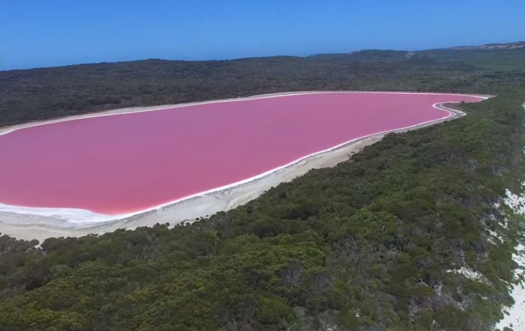 lacurile roz
