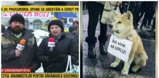 Ce sancțiuni a primit România TV după ce a relatat că protestatarii au primit bani pentru câini românia tv sancțiuni cna