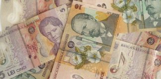 Trei idei de afaceri cu bani puțini și profituri consistente FOTO: GreatNews lei bani leu