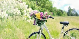Care sunt cele mai bune 20 de orașe pentru bicicliști FOTO: FOTO: Jill Wellington/Pixabay
