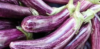 Idei de afaceri în agricultură. Semințele de vinete care sunt mai scumpe decât aurul FOTO: Hans Braxmeier/Pixabay