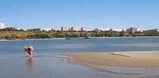 Fenomen rar. A apărut o nouă insulă în mijlocul Dunării | VIDEO insulă nouă dunăre galați