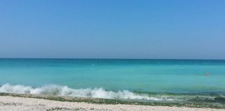Apă albastră-turcoaz ca la Mediterana pe litoralul românesc. Explicația fenomenului spectaculos marea neagră albastru turcoaz vama veche