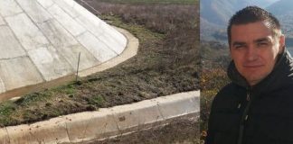 Statul român, obligat să despăgubească un şofer care a lovit un câine pe autostradă marius pop câine lovit autostradă