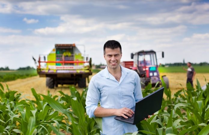 Culturile tradiționale versus cele de nișă. Ce este mai profitabil în România? Foto: Shutterstock