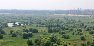 Primul parc natural urban din România ne așteaptă. „E remarcabil cum s-a creat o oază într-un oraș” parcul natural văcărești