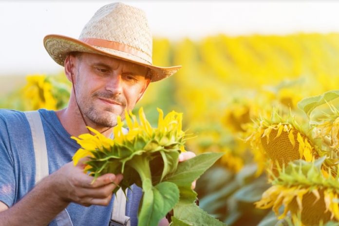 Sfaturi pentru fermieri aflați la început de drum. Foto: Shutterstock