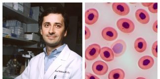 Echipa condusă de un român a creat un test care descoperă cancerul înainte să apară simptomele victor velculescu cancer