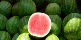 Suedezii vor mânca pepeni de la Dăbuleni în acest an FOTO: Paul Brennan/Pixabay.com