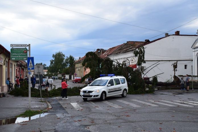 Imagini din Lugoj, după furtună. Foto: Facebook Radio Șanț
