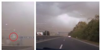 De ce s-a prăbușit poarta de intrare în Timișoara? Autoritățile vin cu o nouă explicație | VIDEO poarta de intrare timișoara