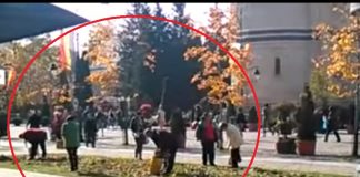 Trecătorii din Iași nu au rupt flori. Doar le-au cules pe cele deja rupte de angajații de la Spații Verzi pelerini iași parascheva
