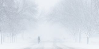 Alertă meteo: Ninsori puternice și viscol năprasnic până vineri FOTO: Pixabay.com