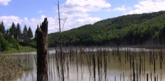 Un român, printre câștigătorii unui concurs de fotografie al National Geographic lacul cuejdel neamț