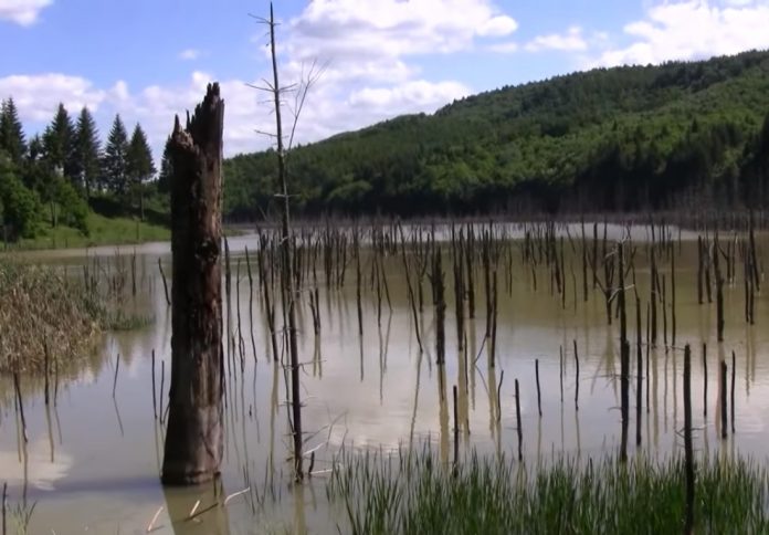 lacul cuejdel neamț