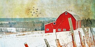 Cum să îți faci viața mai confortabilă la țară? Cinci pași simpli Viața la țară. Foto: Dianne Lacourciere / Flickr