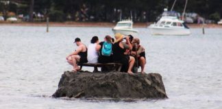 Cum să bei de Anul Nou dacă poliția nu-ți dă voie. Soluția genială găsită de un grup de prieteni insulă noua zeelandă