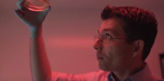 Un neurocercetător român a câștigat un important premiu din lumea medicinei Sergiu Pasca Premiu Vilcek. Foto: Youtube