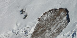 Avalanșă în Munții Vrancei. O turistă a murit avalanșă în munții vrancei