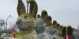 Iepuri de Paști închiriați de primărie cu 2.500 de euro bucata iepuri aurii sector 6