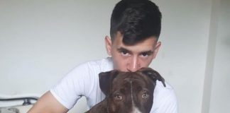 Un tânăr din Timișoara a fost amendat pentru că are un câine, iar vecinii de bloc se opun câine bloc timișoara