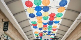 Antreprenorul român care face 320.000 € / an după ce a pornit de la o idee simplă covrigelul covrigu plimbăreț