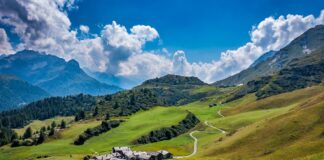 Cele mai sănătoase locuri în care să trăiești. Este sau nu mai bine să locuiești la țară? FOTO: Sonyuser/Pixabay.com