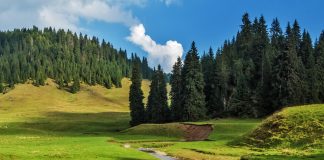 De ce cred britanicii că România este ”cea mai trecută cu vederea” destinație turistică din Europa?