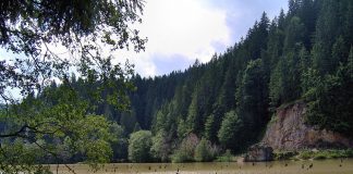 12 copii aflați în tabără au ajuns la spital cu simptome de toxiinfecţie alimentară lacul roșu