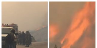 50 de morți în incendii în Grecia. „Localitatea nici măcar nu mai există” incendii grecia