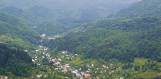 Care sunt orașele din România cu cele mai mari spații verzi