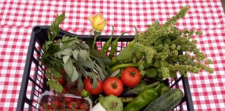 Sănătate la pachet. Cât costă să primiți acasă un colet cu legume bio