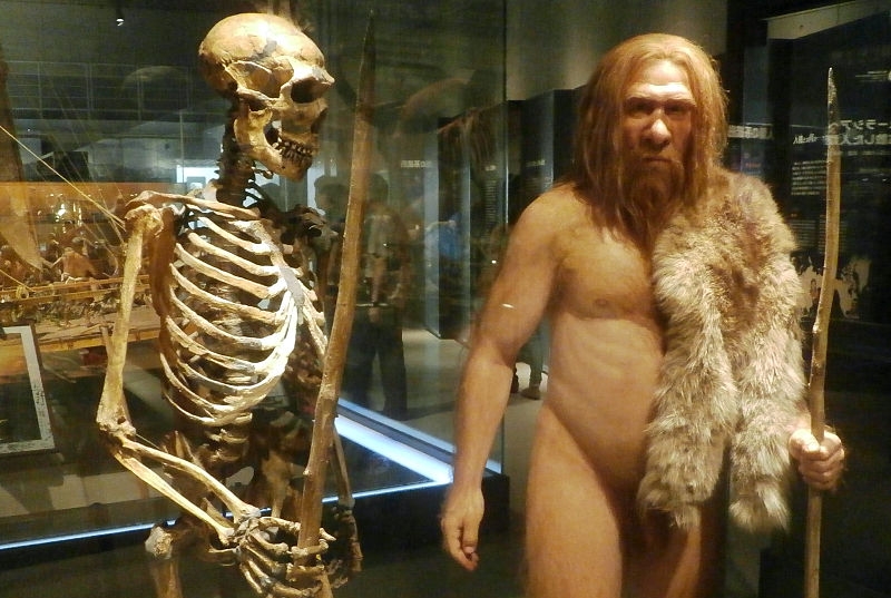omul de neanderthal