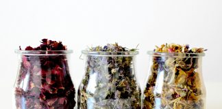 Cum se usucă plantele aromatice: Sfaturi practice