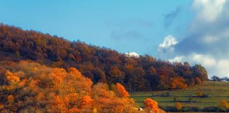 Cele mai frumoase destinații de toamnă din România. 5 locuri colorate unde scapi de griul betoanelor cele mai frumoase destinații de toamnă din românia