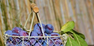 Sirop de prune. Două rețete foarte simple și rapide Sirop de prune FOTO: congerdesign/Pixabay.com