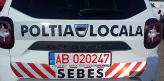 Poliția Locală nu e în stare să își scrie numele pe mașini