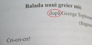 Balada unui greier mic, scrisă greșit de un creier mic în manualul de clasa a doua