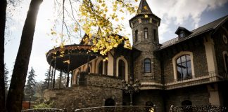 Supermarketuri în Sinaia. 11 magazine din orașul „regal” al României supermarketuri în sinaia