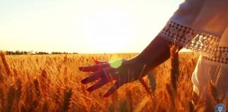 Guvernul a lansat filmul Centenarului. România: ”O insulă de latinitate în Balcani”